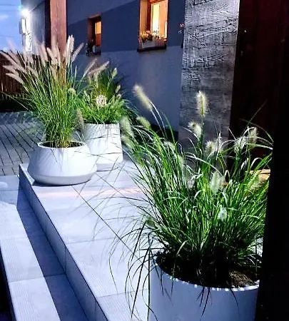Apartament W Pobliżu Gdańska,sauna,bilard Apartament *